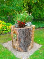 Beautiful and colorful wood pot with flowers, among the plants, in the garden