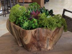 Beautiful, wooden pot with the colorful plants with flowers on the table