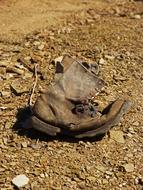 old forgotten shoe on the beach