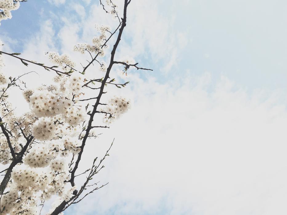 Spring view of nature and clouds