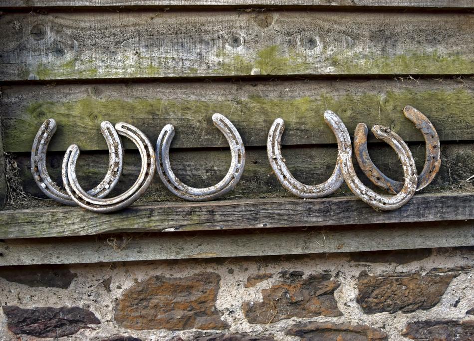 Horse Shoes Rusty