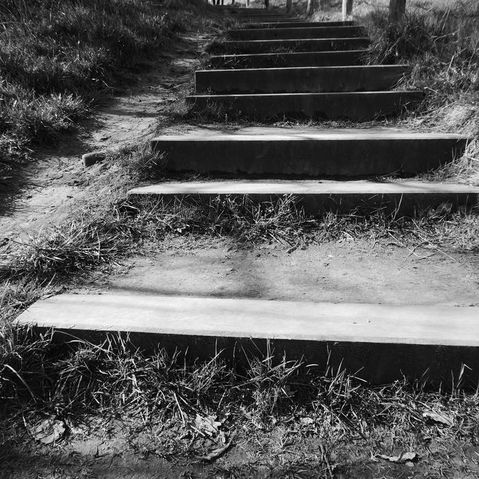 Old stairs overgrown with plants
