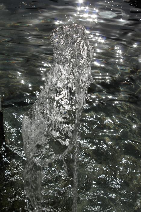 Water rising up after throwing a rock