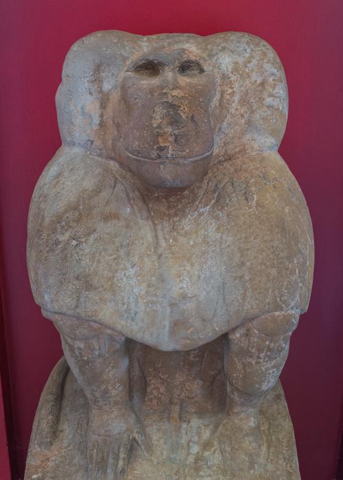 Toad Bust Museum The vatican