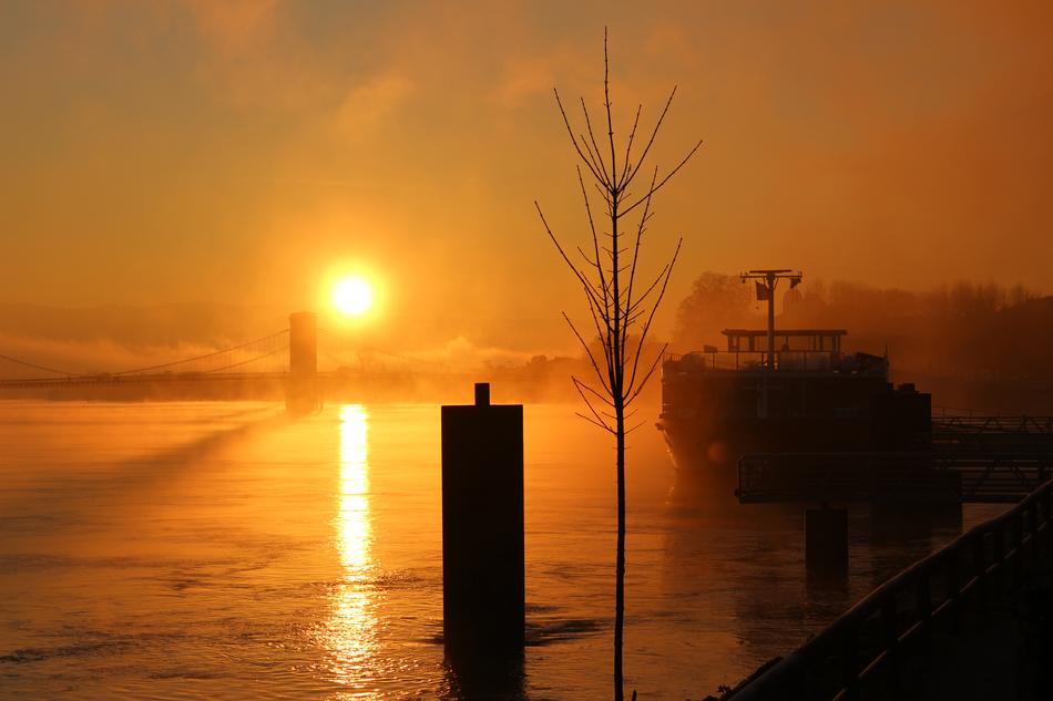Fog Mood Sun