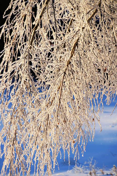 Ice Snow