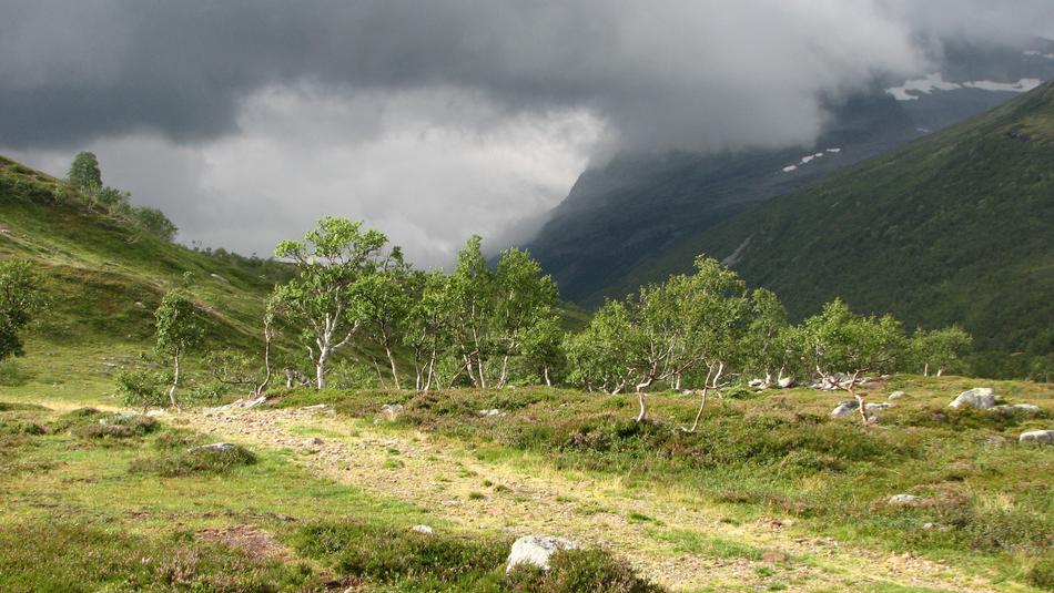 Trollheimen Trollhetta