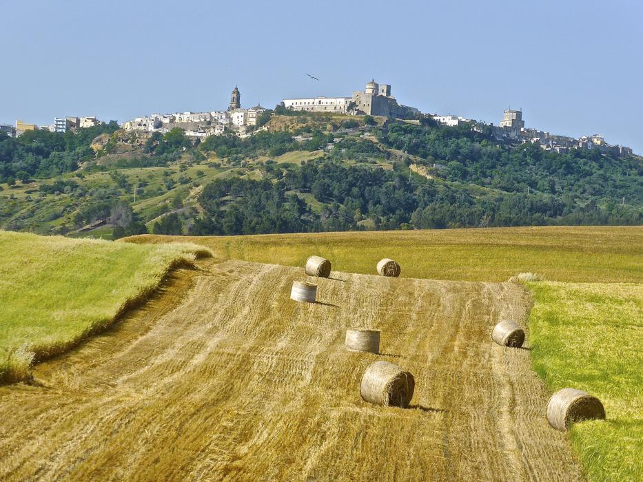 Hay Bales Field