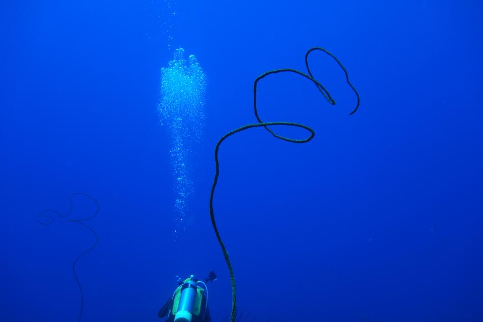 Diving Bubble Green Island
