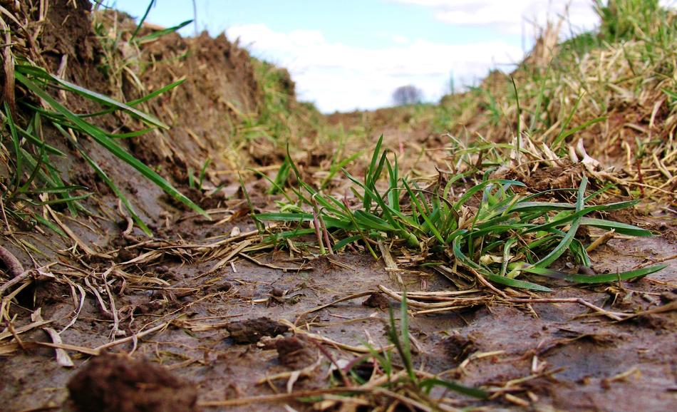 Lane Furrow Close Up
