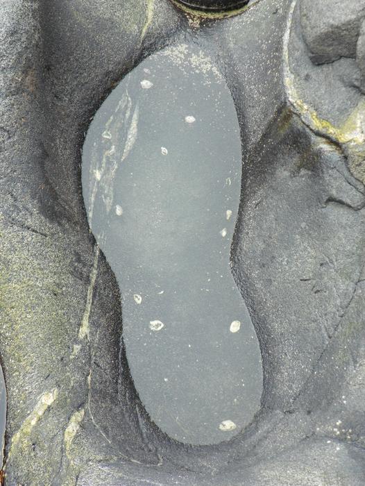 Prainha Branca Sculpture
