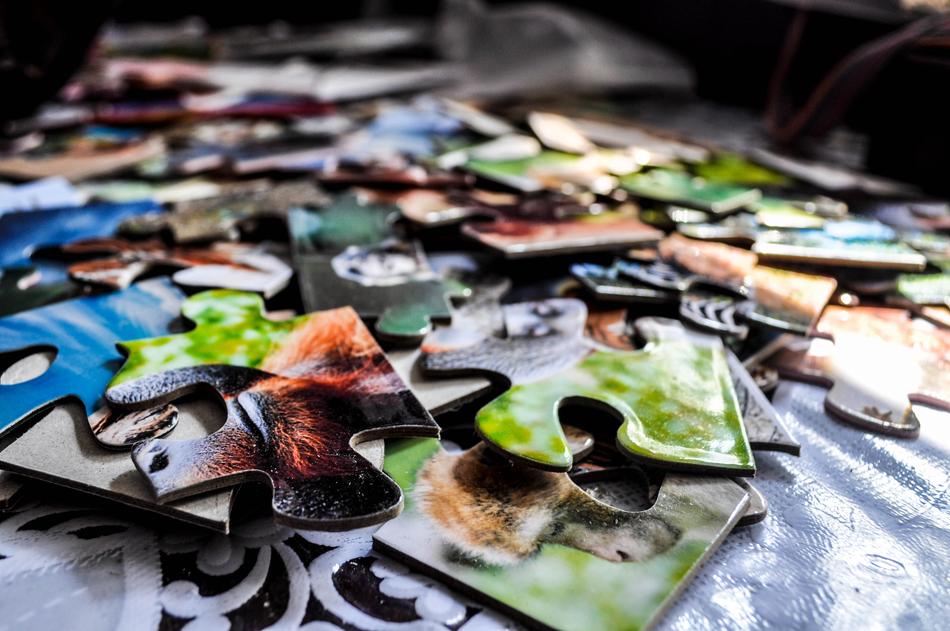 Jigsaw Puzzle Picture