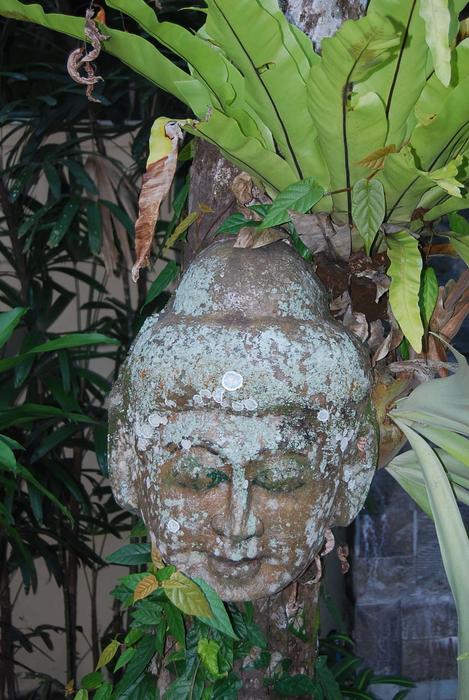 Buda Image Bali