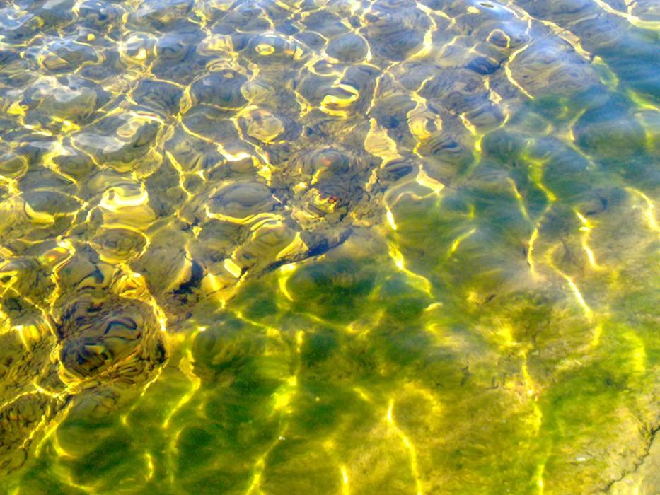 Wallersee Clear Water at sunlight