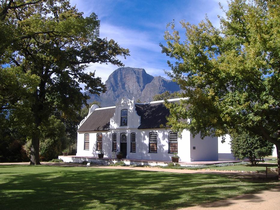 Boschundaal Wine Vinyard South