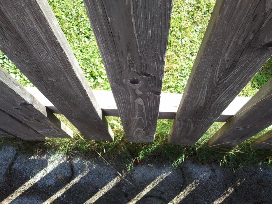 Fence Shadow Spring