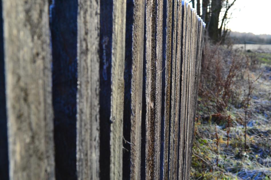 The Fence Frost Rails