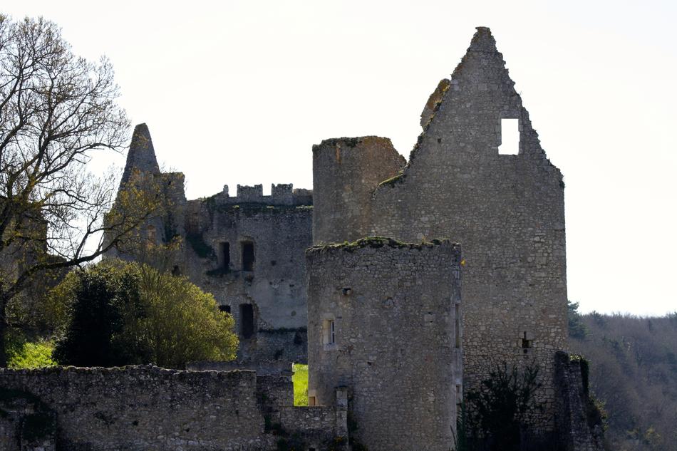 Angles Sur L'Anglin France Castle