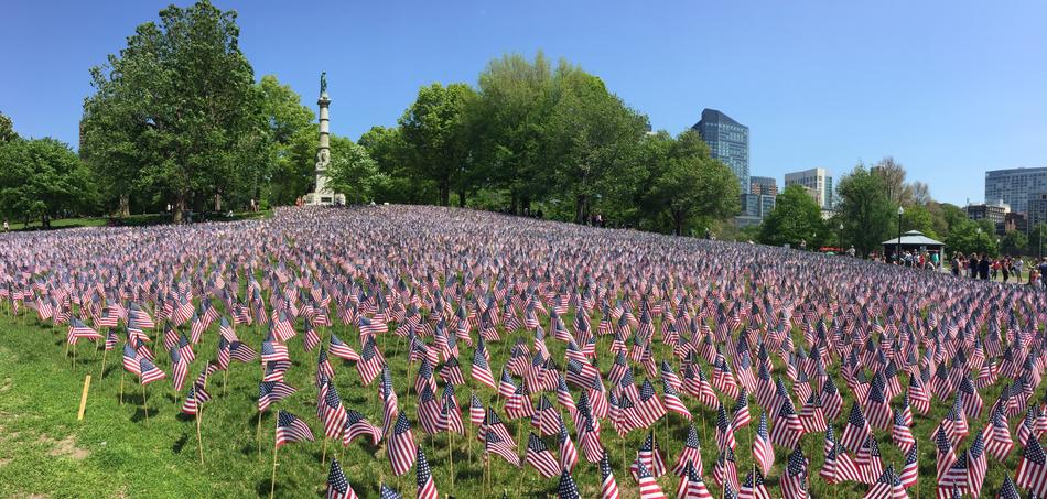 American flags stuck in the grass