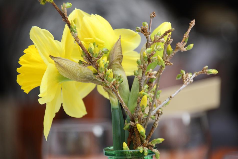 Easter Daffodil Bouquet