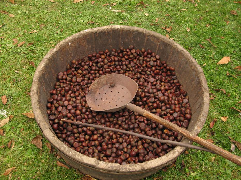 Chestnut Festival Tradition