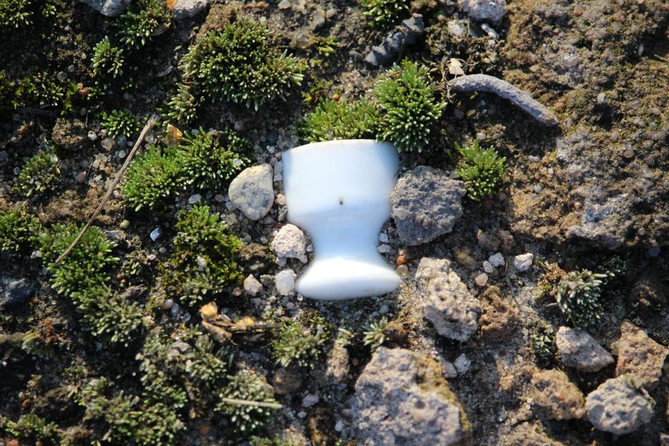 Moss Insulator Ceramic