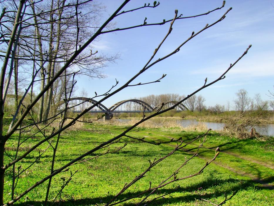 BiaÅobrzegi Vistas