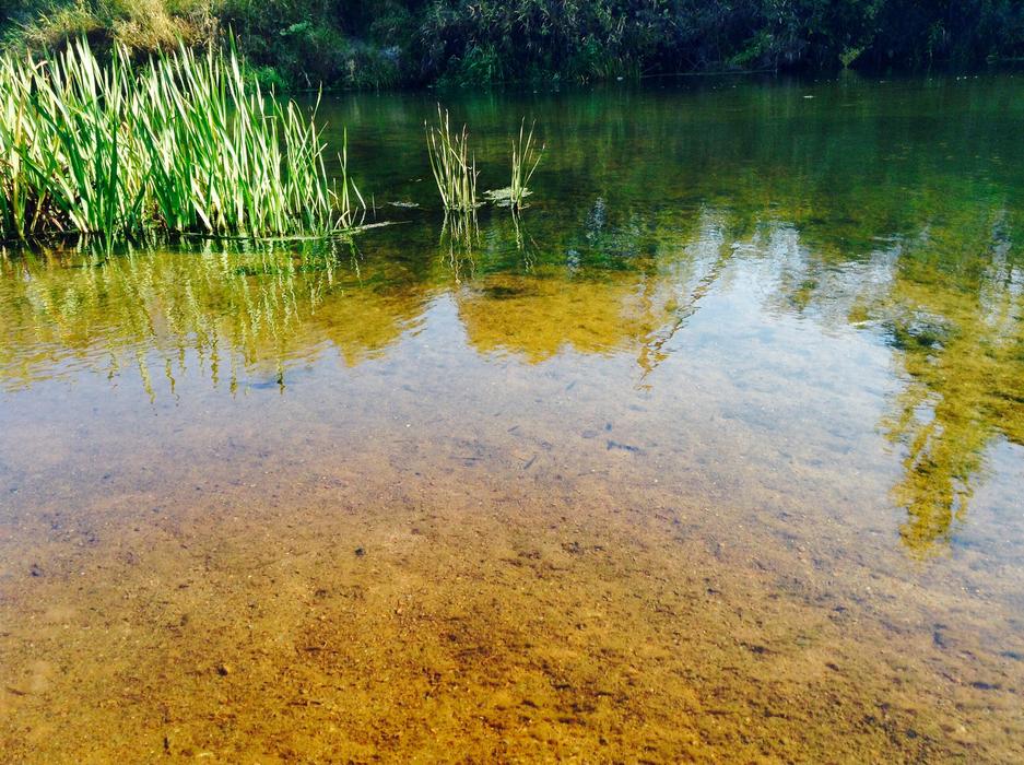 Water Pond