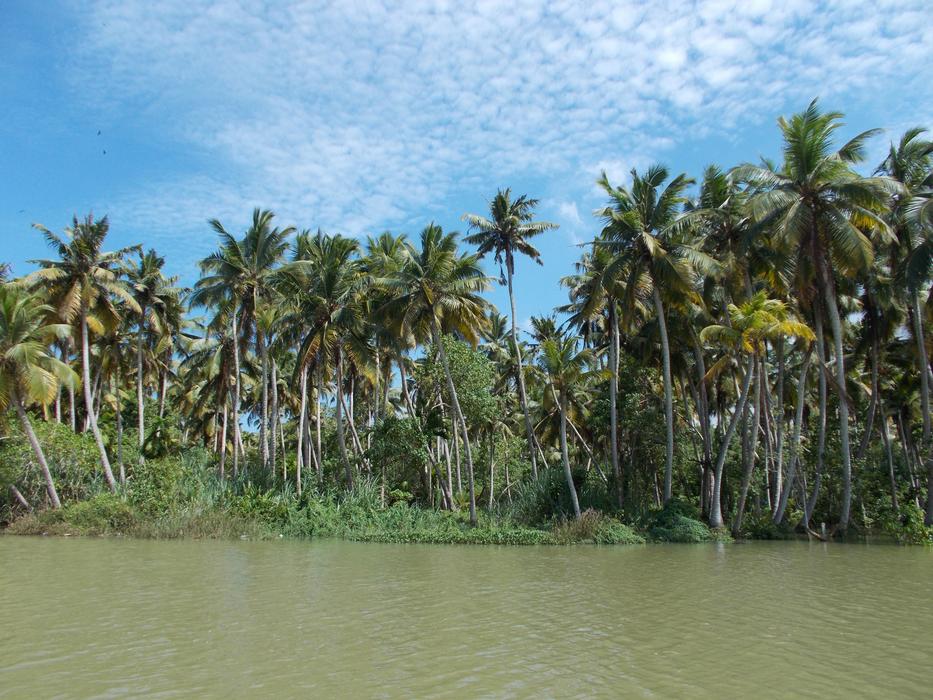 Backwaters Poovar Trivandrum