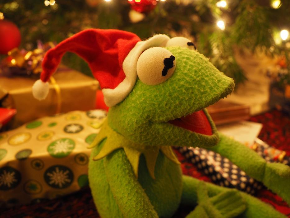 kermet frog in a christmas hat