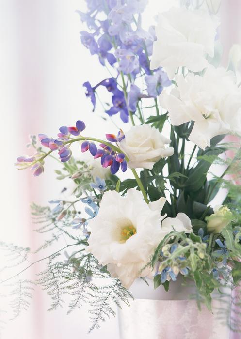 Hwasaham Flowers