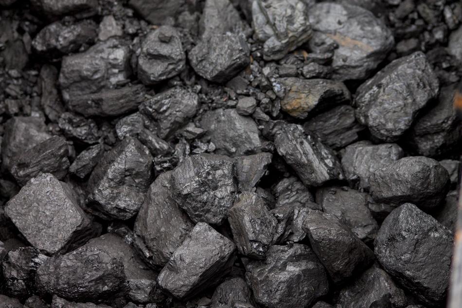 Coal Cabbage Burned