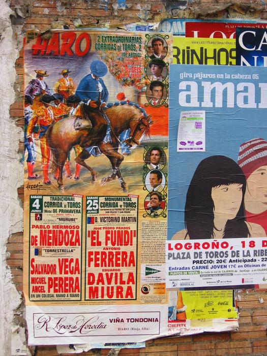 Poster Competition Bull Fighting