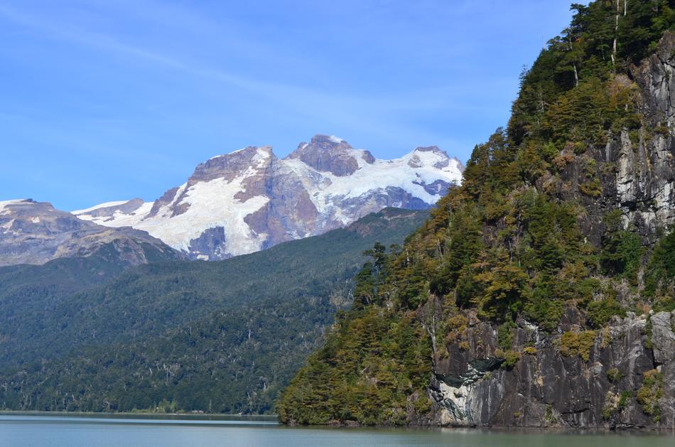 Patagonia Autumn Green