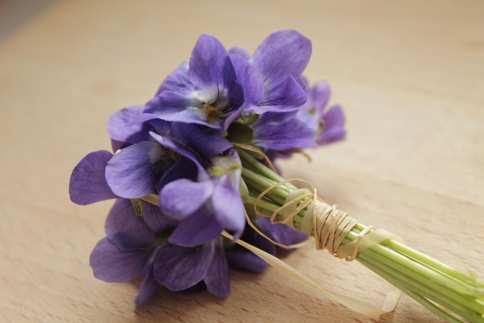 Bunch Of Flowers Violet