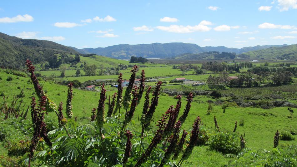 New Zealand North Island Valley