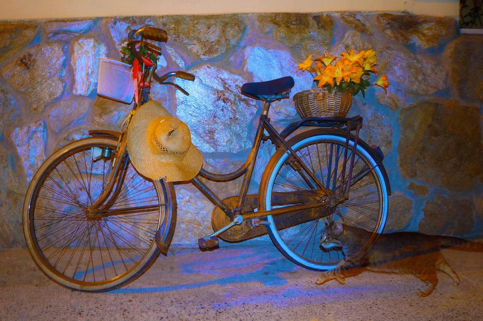 Bicycle Gatta Pariana Barbara
