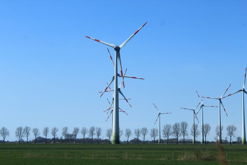 Wind turbines in a park in Dithmarschen, Germany