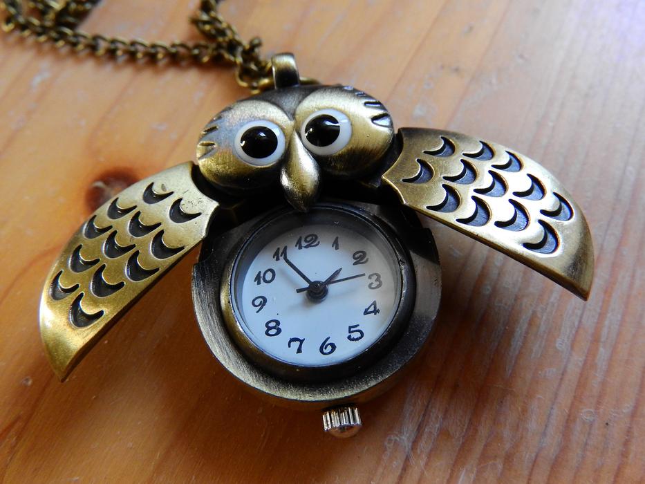 Funny watch with an owl