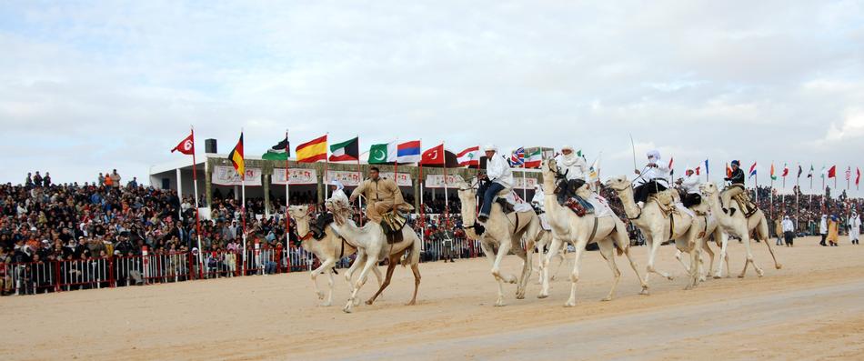 Tunisia Camel Racing Festival