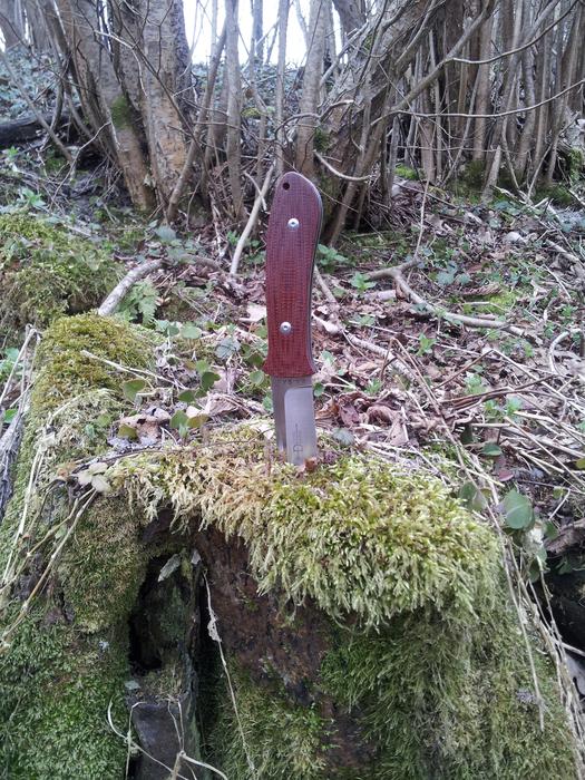 knife stuck in a stump