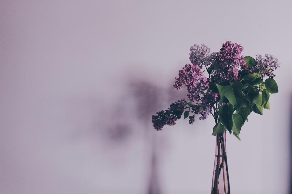 Bouquet of the beautiful, lilac syringa flowers with green leaves, in the vase near the wall