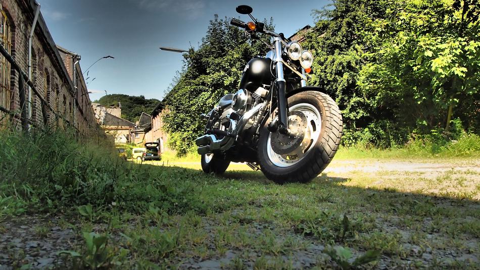 Harley Fat Bob