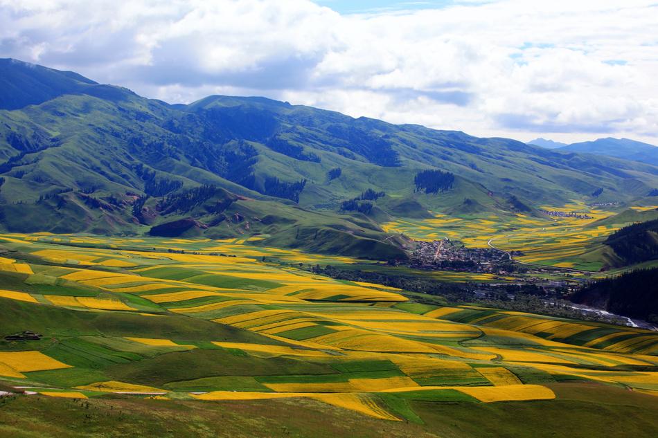Green fields in the mountains
