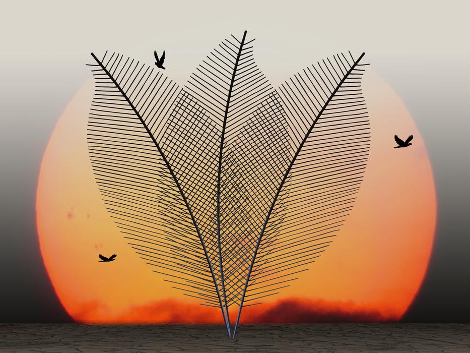 background with sunset