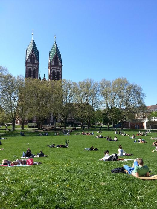 Students Sun Lazing Around