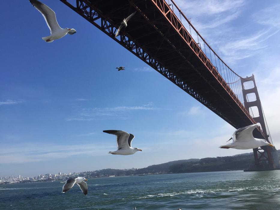 The Golden Gate Bridge United
