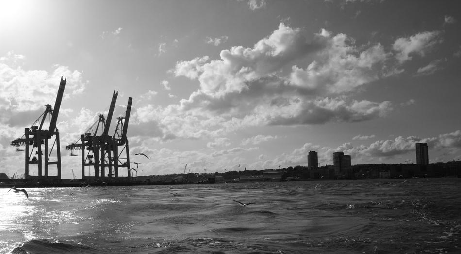 Hamburg Port Gantry Cranes Gulls