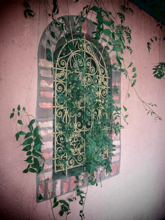 Majorelle Garden Morocco Marrakech