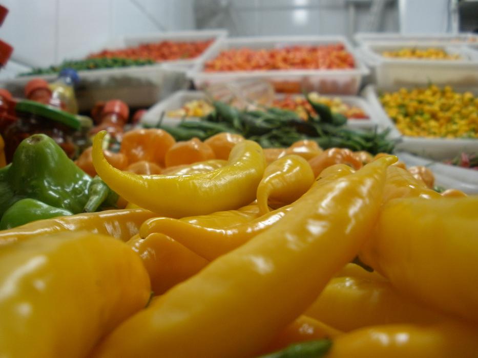 Pepper Yellow Burn